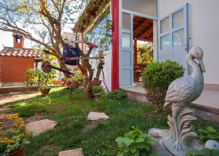 Maretic Center ברודאריצה