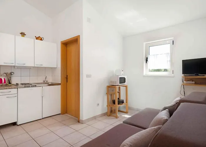 Apartment Maretic Center *